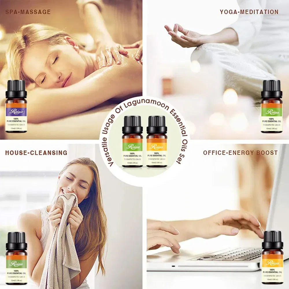 China Fabricação Venda Quente Baixo MOQ OEM/ODM Recipiente de embalagem de cosméticos Frasco de perfume de vidro Frasco de óleo essencial de massagem com tampa conta-gotas de plástico